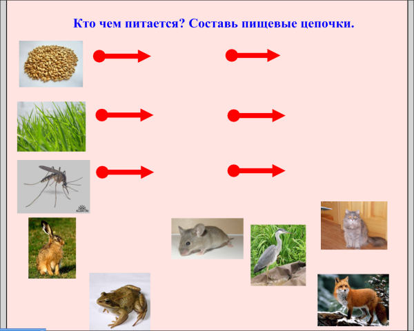 Игра пищевая цепочка для дошкольников
