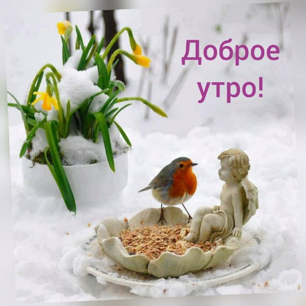 Доброе утро Весна с зимой