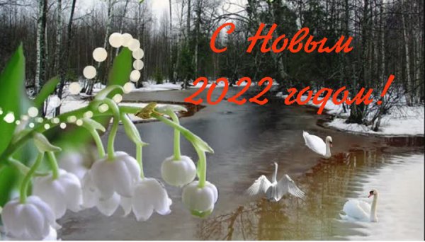 Подснежники под снегом