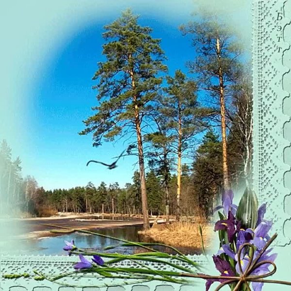 Бушует Снежная Весна