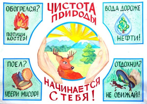 Табличка не мусорить в лесу