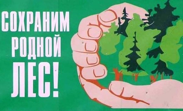 Противопожарные аншлаги в лесу