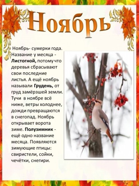 Ноябрь для детей