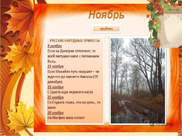 Осенний календарь природы