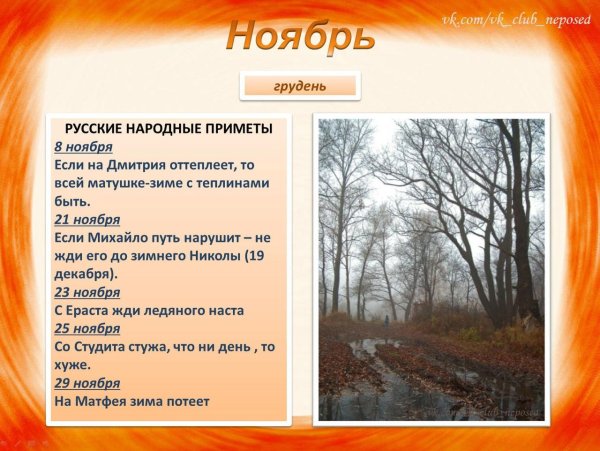 Народные приметы ноября