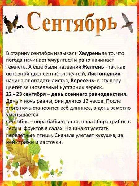 Уголок природы осень