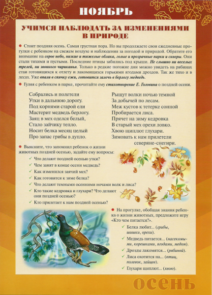 Материал для родительского уголка в старшей группе