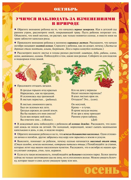 Консультация для родителей октябрь