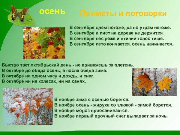 Приметы осени
