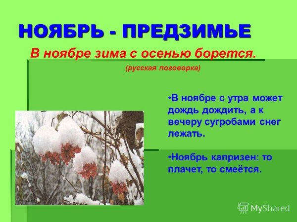 Приметы ноября