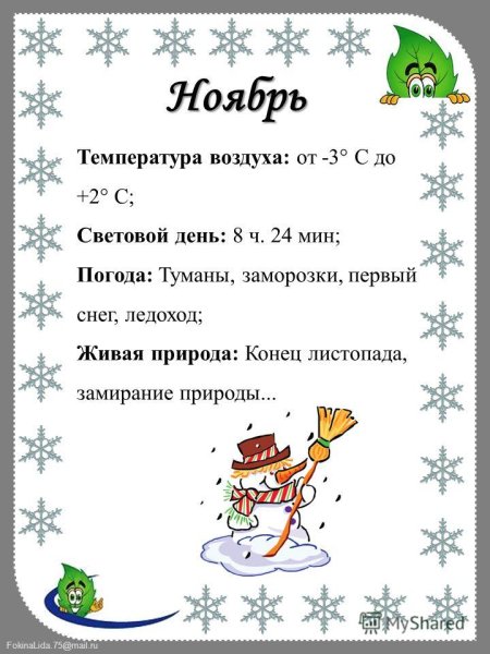 Уголок природы ноябрь в начальной школе