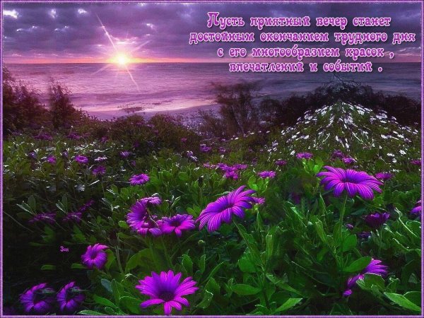 Добрый вечер природа