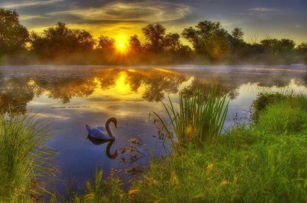 Добрый вечер природа