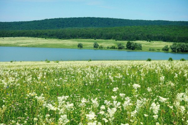 Луга Башкортостана