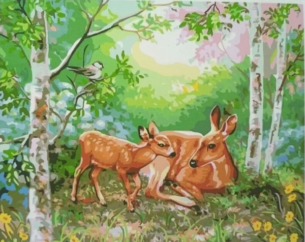 Иллюстрация природы и животных