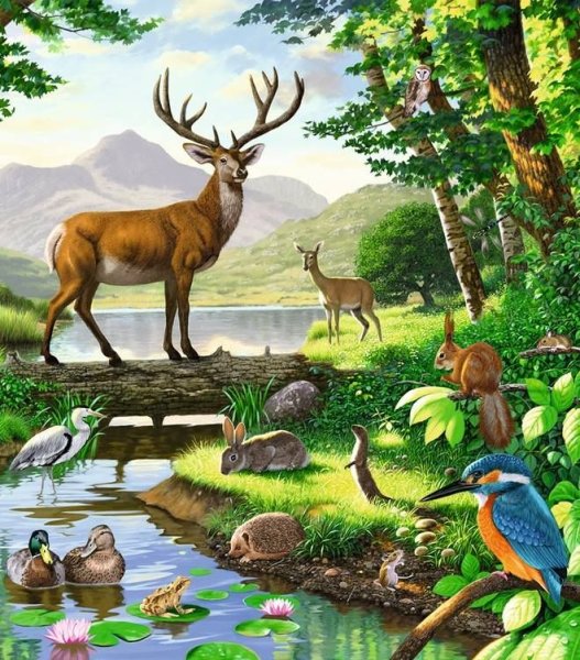 Американская художница Crista Forest картины