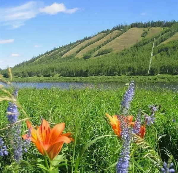 Ленские столбы Республика Саха