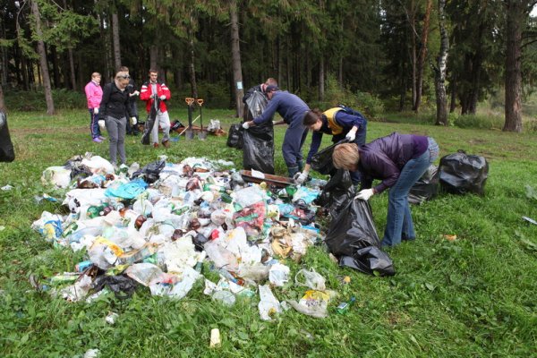 Собирание мусора в лесу