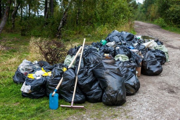 Уборка территории от мусора
