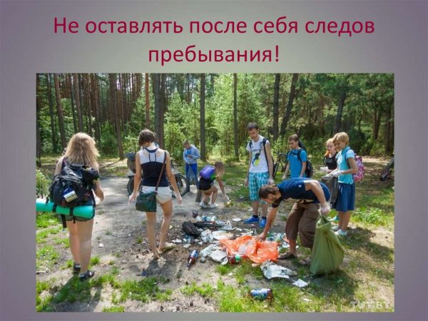 Уборка мусора в лесу детьми