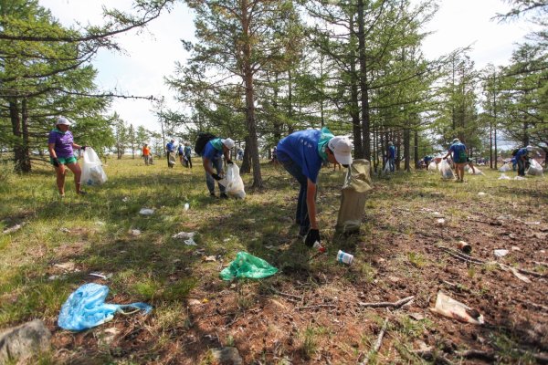 Волонтеры уборка мусора
