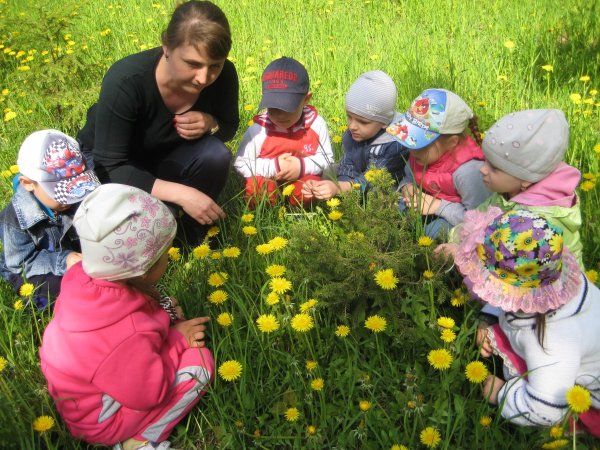 Ознакомление детей с природой