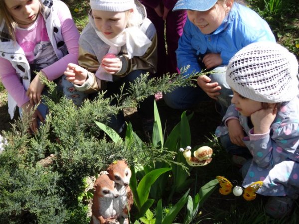 Дети наблюдают за природой
