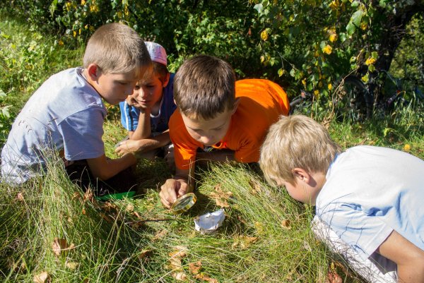 Изучение природы