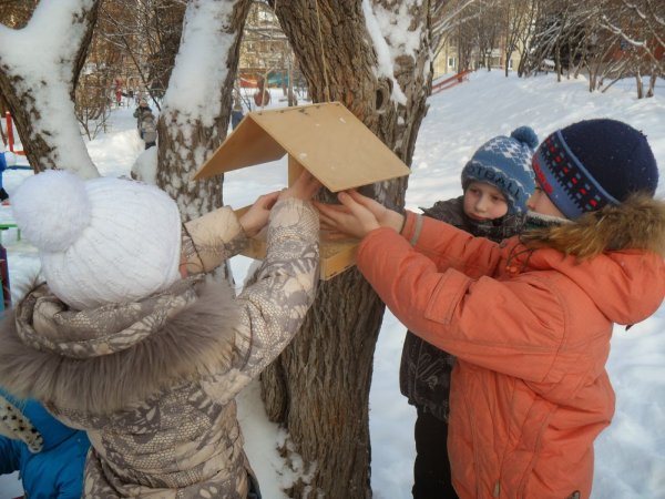 Наблюдение детей за природой