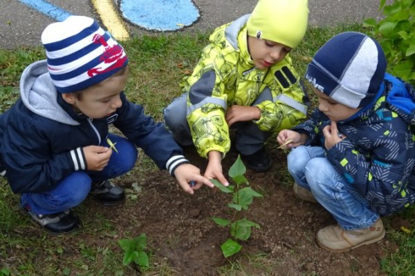 Изучение природы
