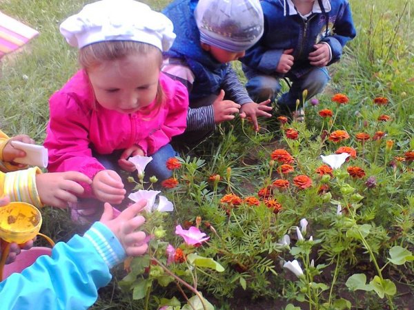 Дети исследователи природы