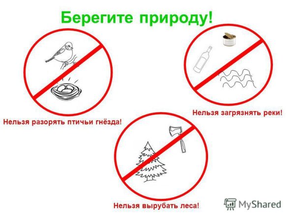 Почему нельзя загрязнять природу