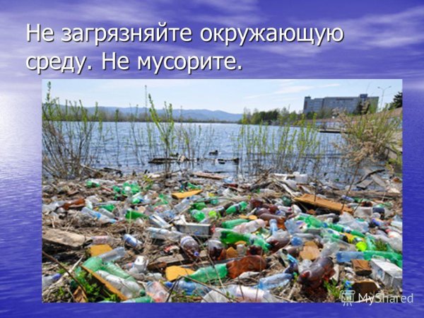 Загрязнение окружающей среды человеком