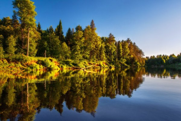 Река Кильмезь Удмуртия