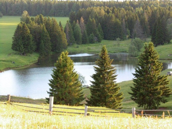 Природа Шарканского района Удмуртии