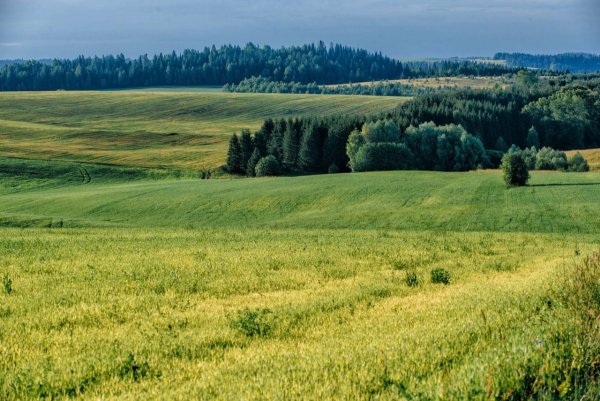 Удмуртская Швейцария Шарканский район
