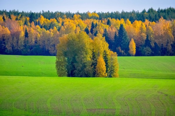 Природа Удмуртии Ижевск