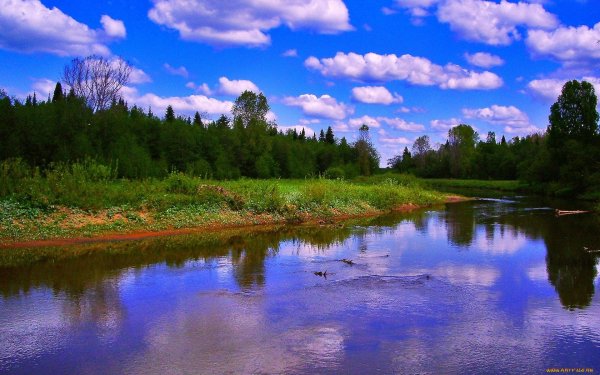 Река Юринка в Удмуртии