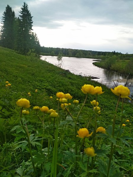 Природа Удмуртии Италмас