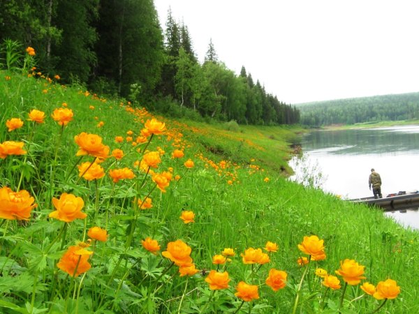 Природа Енисейской Сибири