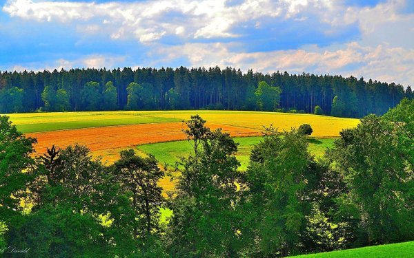 Фон природа Белоруссии