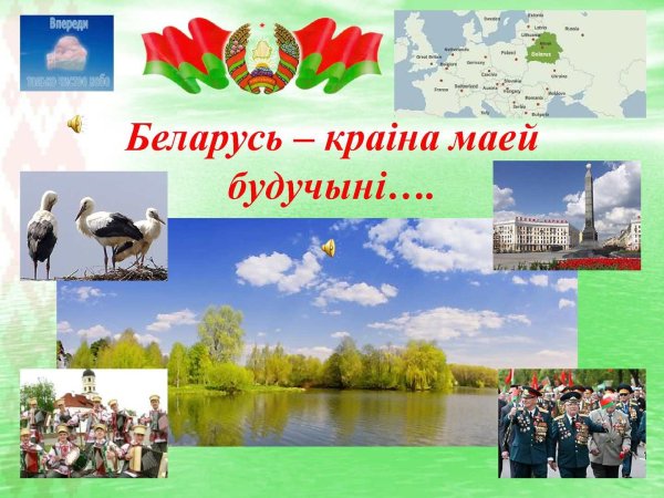 Красивое поле