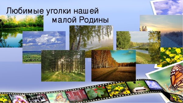 Пшеничное поле