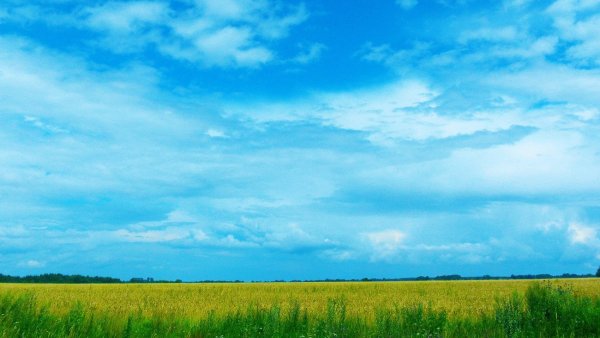 Белоруссия природа равнины