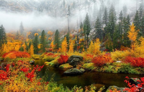 Осень в лесу