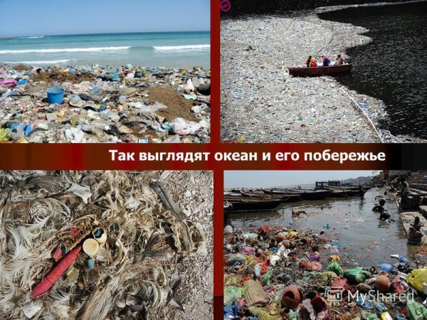 Природа не прощает ошибок