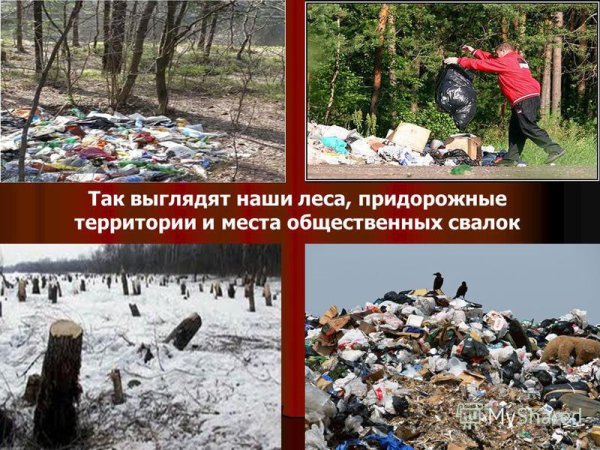 Кл час природа не прощает ошибок 2 класс