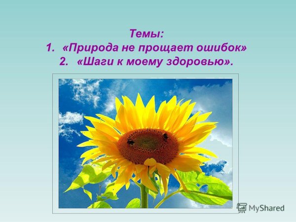 Картинки на тему природа не прощает ошибок