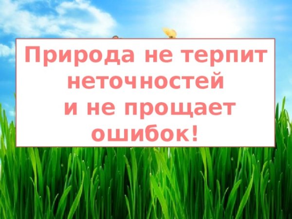 Берегите эти земли эти воды даже малую былиночку любя