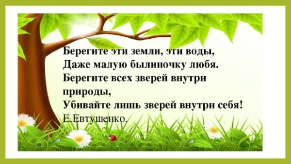 Земля берегите природу